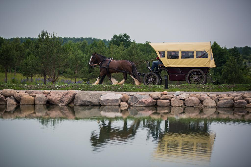 Bed and Breakfast Dubingiu Zirgynas Dubingiai Exteriér fotografie